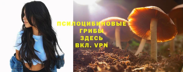 мяу мяу мука Белокуриха